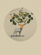 Gregorio: Buckwild Print