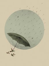 Gregorio: Canopy Print