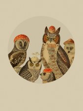 Gregorio: WhoooooooDis? Print