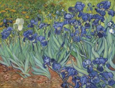 Van Gogh: Irises in the Garden
