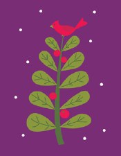 Cardinal in a Tree - Holiday Cards