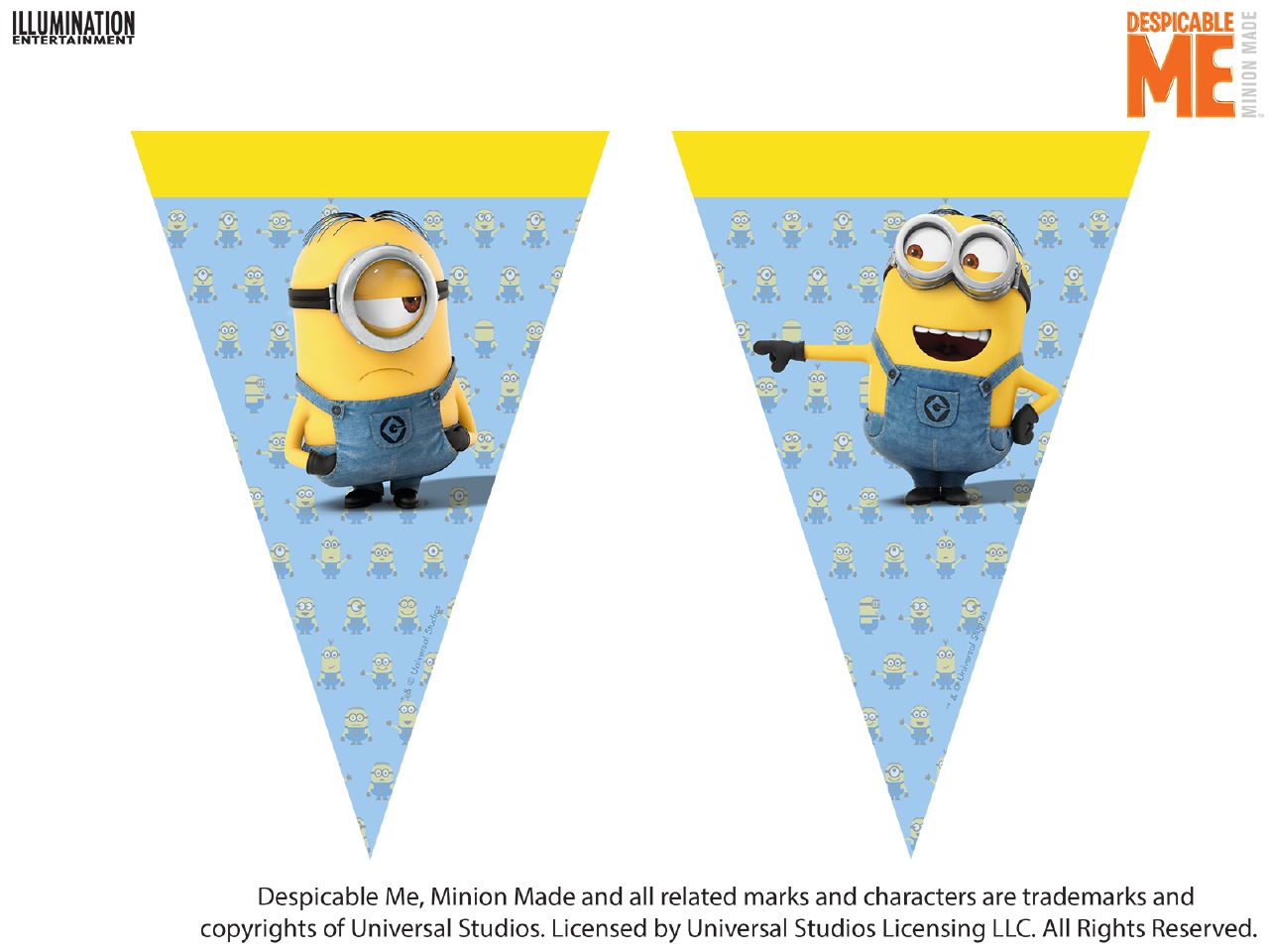 Despicable Me Flag Banner Partyworld