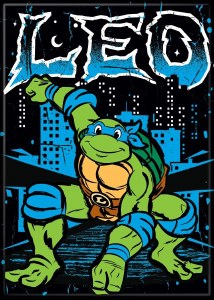 Teenage Mutant Ninja Turtle Leo City Magnet