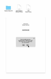 Radiant Black #3 Cvr B