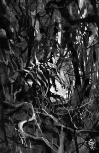 Kroma #2 10 Copy Variant