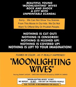 Moonlighting Wives Blu ray