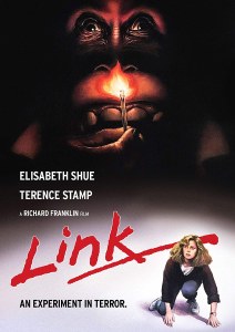 Link DVD