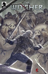 Witcher Ballad of Two Wolves #1 Cvr D