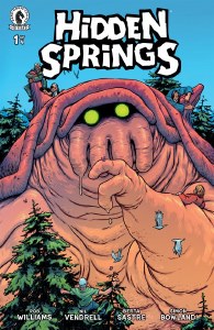 Hidden Springs #1 Cvr B