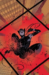 Catwoman #41 Cvr D