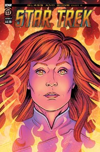 Star Trek #17 Cvr B