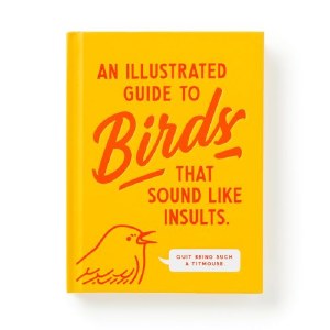 An Illustrated Guide to Birds That Sounds Like Insults