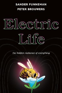Electric Life HC the Hidden Radiance of Everything