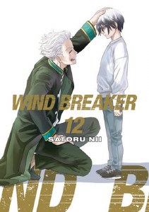 Wind Breaker Vol 12