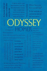 Odyssey SC Flexi Cover
