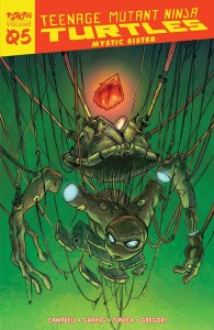 Teenage Mutant Ninja Turtles Reborn TP Vol 05 Mystic Sister