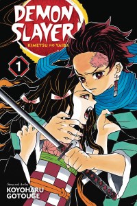Demon Slayer Vol 01
