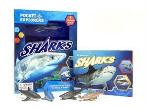 Sharks Pocket Explorers