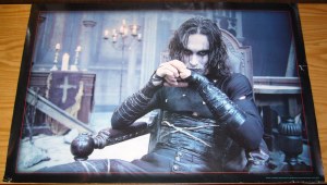 Crow Sitting Poster