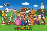 Super Mario Lawn 36x24 Poster