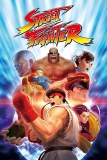 Street Fighter Character 24x36 Poster