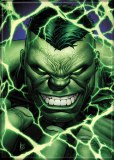 Immortal Hulk 1 Variant 2.5" x 3.5" Magnet