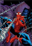 Amazing Spiderman 24 2.5" x 3.5" Magnet