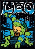 Teenage Mutant Ninja Turtle Leo City Magnet
