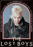Lost Boys Sleep All Day Magnet