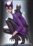 Catwoman  Inhyuk Lee Magnet