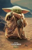 Star Wars The Mandalorian and Grogu Grogu Force 22 x 34 Poster