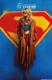 Supergirl Whatever One Sheet Movie Teaser 22 x 34 Poster