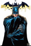 Batman Feature Series 22 x 34 Poster