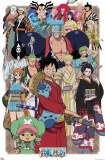 One Piece Alliance 22 x 34 Poster