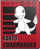 Pokemon 9-Pocket Binder Portfolio Charmander