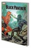 Black Panther TP Book 05 Avengers Of New World Part 2