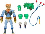 Masters of the Universe X Thundercats Tygra Action Figure