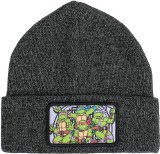 Teenage Mutant Ninja Turtles Beanie w/Team Patch