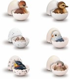 Birds Tenori Baby Friends Boxed Mini-Figure