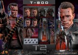 Hot Toys Terminator 2 Judgment Day Battle Damaged 2.0 T-800 1/6 Action Figure
