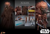 Hot Toys Star Wars Revenge of the Sith Plo Koon 1/6 Scale Action Figure