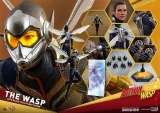 Hot Toys Ant-Man and the Wasp The Wasp Action Figure