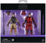 Star Wars Black Shadows of the Empire Luke Imperial Guard/Leia Boushh Hasbro Pulse Exclusive Action Figure 2 Pack