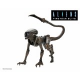 Aliens Fireteam Elite Runner Alien 7 In Scale Action Figure