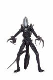 Alien vs Predator Razor Claws Alien Action Figure
