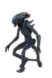 Alien vs Predator Arachnoid Alien Action Figure