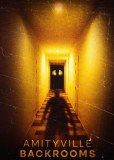 Amityville Backrooms DVD