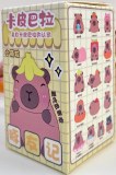 Capybara Mini V2 Blind Box Figurine