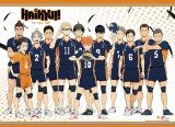 Haikyu S4 Key Art A Wall Scroll 31" x 44"