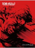 Cowboy Bebop Spike SS Wall Scroll